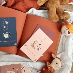 Album photo de naissance petit prince