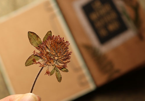 Des matériaux pour votre journal intime ou bullet journal 03