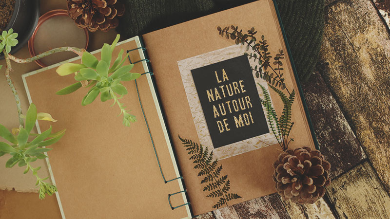 Carnet album artisanal herbier 03