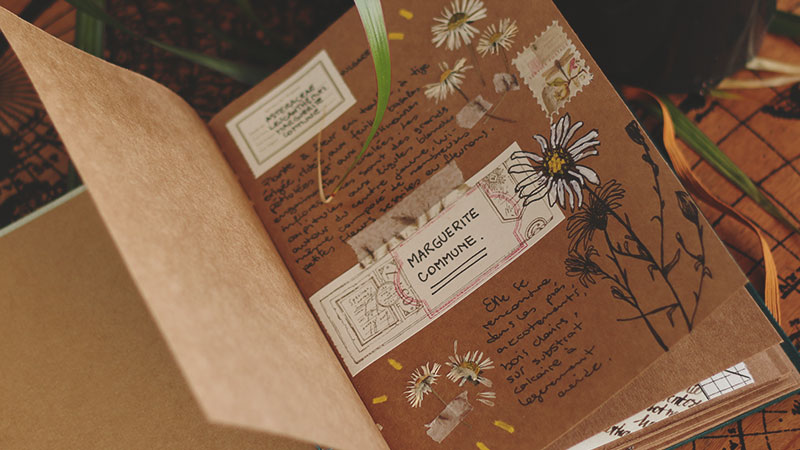 Carnet album artisanal herbier 04
